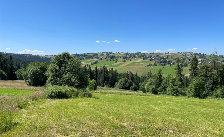 parcel for sale - Biały Dunajec