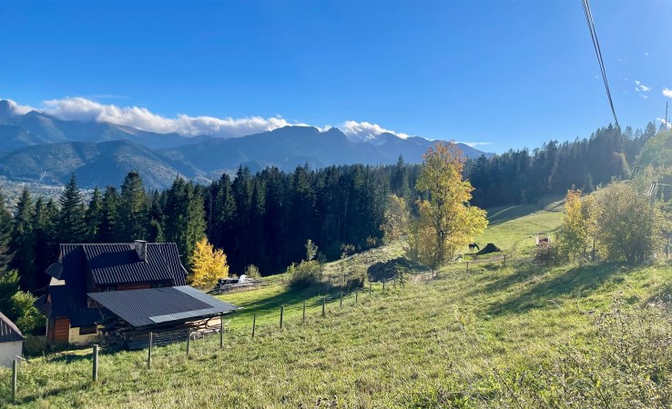 działka na sprzedaż - Zakopane